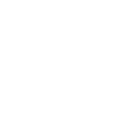 Winter icon